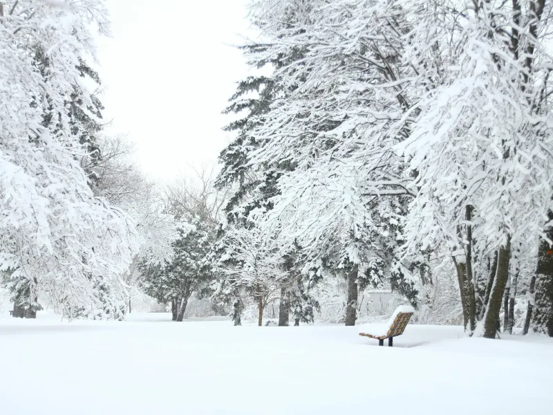 Oklahoma winter